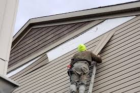 Historical Building Siding Restoration in Valentine, NE